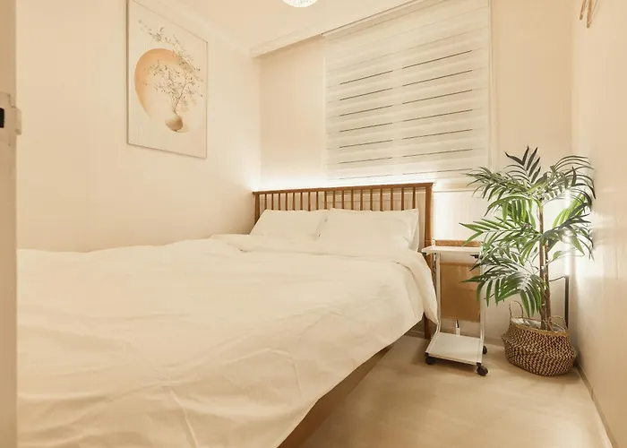 Station 8min Myeongdong Hongdae Ddp Villa *